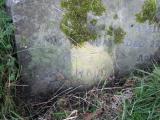 image of grave number 631705